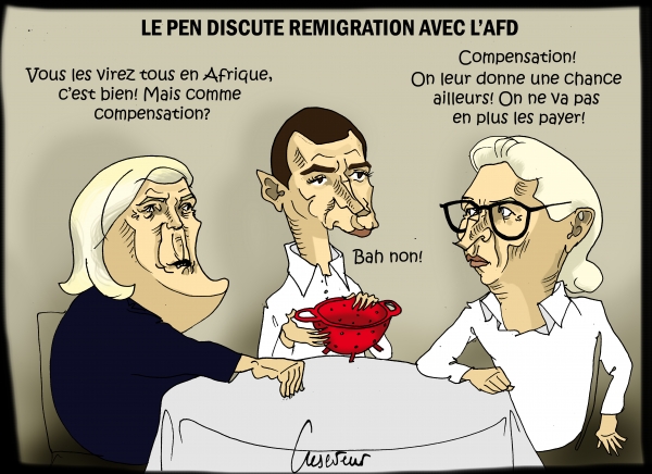 Le Pen cause remigration .JPG