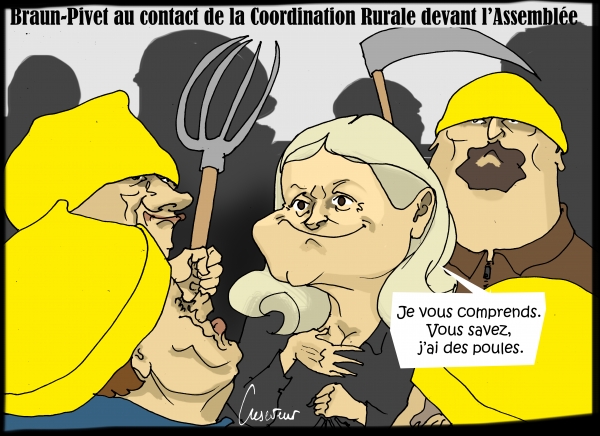 Braun-Pivet face à la CR.JPG