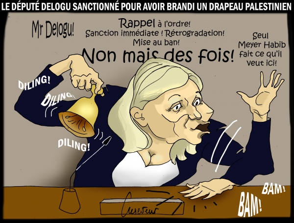 Braun-Pivet sanctionne Delogu.JPG