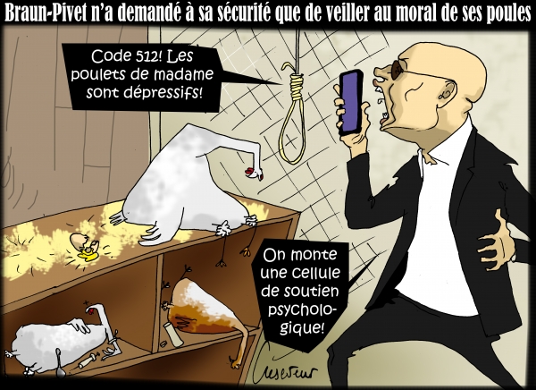 Braun Pivet fait surveiller ses poules.JPG