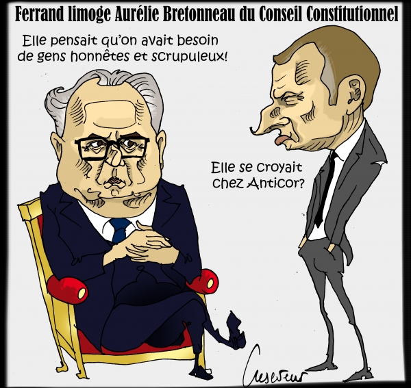 coneil constitutionnel,richard ferrand,aurélie bretonneau,macron,caricature,cartoon