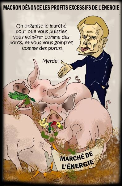 Macron contre les profits excessifs.JPG