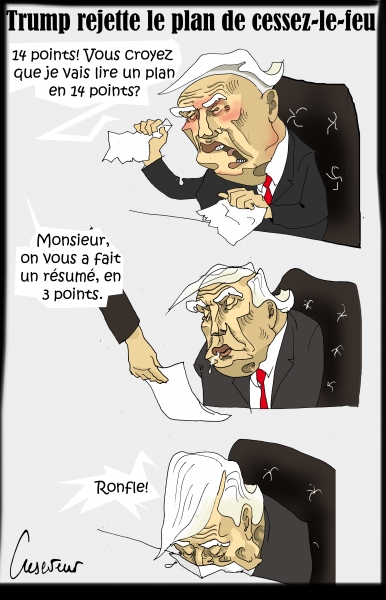 Trump blinks.JPG