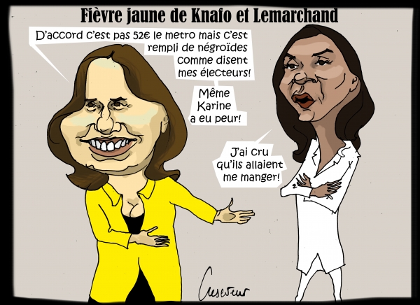 Fièvre jaune de Knafo.jpg